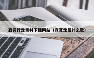岳阳寂寞行走素材下载网站（寂寞走是什么歌）