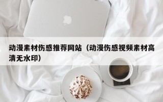 岳阳动漫素材伤感推荐网站（动漫伤感视频素材高清无水印）